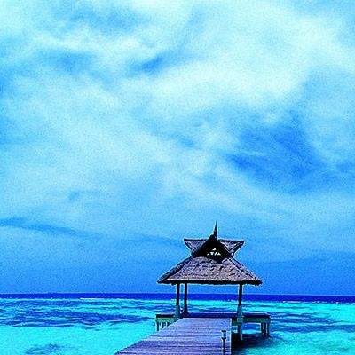 今天买什么特马截图